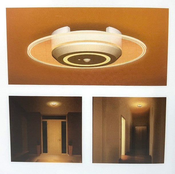IRIS　小型シーリングライト 導光板・人感センサー付 750㏐（電球色・昼光色）